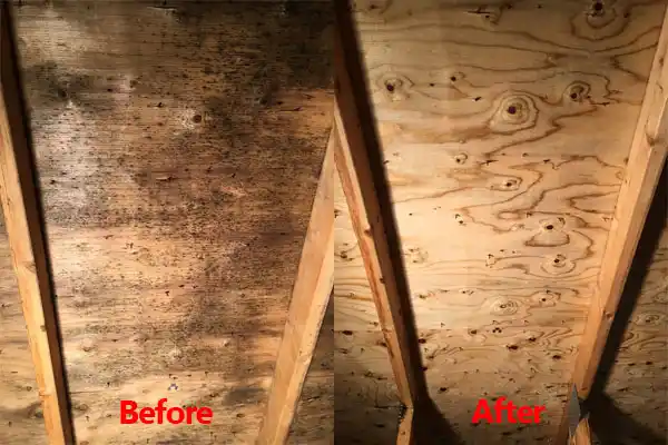 water damage restoration service Crestview